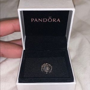 Pandora Charm